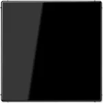 Jung LS 994 B SW (LS994BSW)