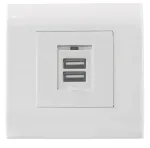 Intellinetti 2-pordiline USB-A seinapistikupesa esipaneeliga, kaks laadimisporti turvakattega, 5 V / 2,1 A v&auml;ljund, 80 x 80 Euroopa esipaneel