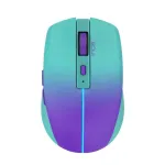 INCA Wireless hiir Iwm-511rm - Rf Wireless + Bluetooth + USB USB-C - 1600dpi - 6buttons - roheline Violet
