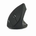 Hiir Acer HP.EXPBG.009 RF juhtmevaba optiline 1600 DPI