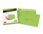 ELCO Color &Uuml;mbrik C5 (162 x 229 mm), aknata, isekleepuv, 100 g/m&sup2;, roheline, 25 tk (74618.62)