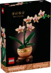 LEGO ICONS 10343 The Botanical Collection &ndash; Miniorhidee