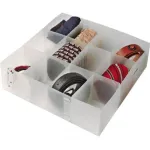 ORDINETT Organiser L 30,5x30,5x10cm Top Class l&auml;bipaistev hoiukarp