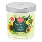 BOLSIUS Floral Fusion l&otilde;hnav k&uuml;&uuml;nal klaaspurgis, p&auml;evalill ja tsitrus, &Oslash;80x72mm