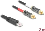 DeLOCK audio kaabel 2 m RJ-45 2 x RCA Must 88171