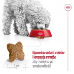 Kuiv koeratoit Royal Canin Adult Mini S 8 kg &mdash; t&auml;isv&auml;&auml;rtuslik toitumine v&auml;ikestele t&auml;iskasvanud koertele