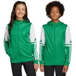 adidas Squadra 25 Hoody laste pusa roheline ja valge JP3163 140cm