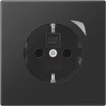 Jung HOME SCHUKO BTLS1521SSWM pistikupesa 1tk (BTLS1521SSWM)