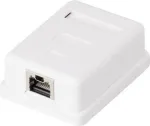 V&otilde;rgupistikupesa Renkforce CAT 6, 1 port, valge