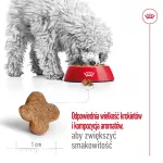Kuiv koeratoit Royal Canin Mini Adult 8+ 2 kg &mdash; v&auml;ikesed t&otilde;ud 5&ndash;10 kg, linnuliha, kehakaalu kontrolli valem