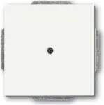 BUSCH JAEGER 1742-884 - Valge - Metall - Plastik - Busch-Jaeger - Matt - 63 mm - 63 mm