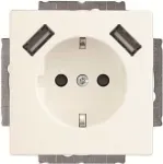 Busch-Jaeger SCHUKO-2x USB pistikupesa 20 EUCB2USB-884 (2CKA002011A6277)