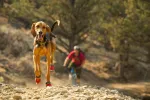 Ruffwear Grip Trex Dog Boots - Obsidian Black, Size XXS
