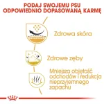 Kuiv koeratoit Royal Canin Shih Tzu Adult 1,5 kg &mdash; linnuliha, 24% valku, 20% rasva, v&auml;ikestele t&auml;iskasvanud Shih Tzu'dele