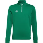adidas Entrada 22 treeningpluus lastele, pusa roheline HI2132 152cm