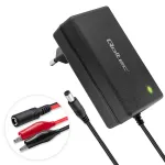 Akulaadija QOLTEC 12V 2A 24W mudel 52661