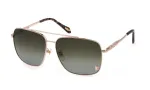 JUST CAVALLI unisex p&auml;ikeseprillid SJC030610493 61/14/140 mm