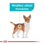 Royal Canin Mini Urinary Care CCN kuivtoit koertele, 3 kg
