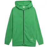 Meeste dressipluus 4F roheline 4FSS23TSWSM236 41S