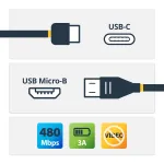 StarTech.com USB-C&ndash;Micro-B kaabel &ndash; isane/isane &ndash; 2 m (6 jalga) &ndash; USB 2.0