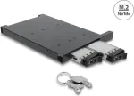 Delock Adapter Frame for 2 x M.2 NVMe SSD with SFF-8654 Connector for 12,7 mm Slim ODD Bay (47138)