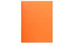 Exacompta 56409E A4 Bristol Card Orange 200 Sheets 0,5 mm 240 g/m&sup2;