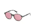 WEB EYEWEAR Naiste kassisilma p&auml;ikeseprillid WE0266-5155Y Havana/Pruun Gradient 51mm