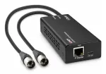 LINDY 2-kanaliline Dante-XLR helidekooder 70619
