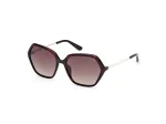 GUESS Naiste P&auml;ikeseprillid GU00134-5552F Havana Atsetaat Ruudukujuline Raam Pruun Gradientl&auml;&auml;ts 55/16/140 mm