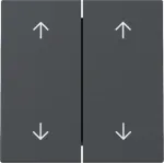 GIRA Klahv 329728 kahepoolse noolega System 55 Antratsiit