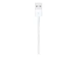 Apple Lightning-USB kaabel 1m MUQW3ZM/A