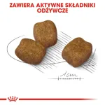 Kuiv koeratoit Royal Canin Mini Dental Care 3 kg &mdash; t&auml;iskasvanud v&auml;ikesed t&otilde;ud, linnuliha, hambahooldus
