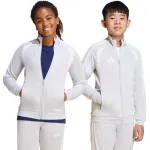 Laste pusa adidas Tiro 26 League Training helehall JY7198 140cm