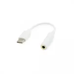 Sbox 3,5 mm emane -> USB-C isane adapter AD.TYPEC-3,5 mm