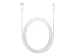 Apple USB-C to Lightning kaabel (1 m)
