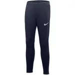 Nike Academy Pro Pant noorte tumesinine DH9325 451 S