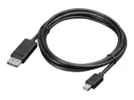 Lenovo 2m Mini-DisplayPorti ja DisplayPorti monitorikaabel