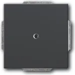 Busch-Jaeger 1710-0-3614. Produktfarbe: Anthrazit, Markenkompatibilit&auml;t: Universal, Design: konventionell. Breite: 63 mm, H&ouml;he: 63 mm, Dicke: 1,4 cm (