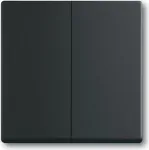 BUSCH JAEGER 1751-0-3038 - Tasten - Schwarz - Kunststoff - 63 mm - 63 mm - 1 St&uuml;ck(e)