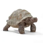 Figuur, Schleich, WILD LIFE hiidkilpkonn