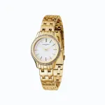 Pierre Cardin Women's Quartz Analog Watch CF.0611.SE.G 30mm Stainless Steel Mesh