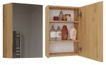 Top E Shop POLA 1DL ARTISAN vannitoa kapp, tamm