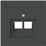 BUSCH-JAEGER 1803-02-45M Zentralscheibe 2-fach UAE Beschriftungsf (2CKA001710A4230)