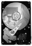 SEAGATE 250GB 3,5 ST3250820SCE SATA