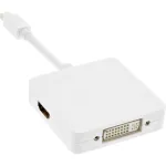 InLine Mini DisplayPort HDMI DVI DisplayPort adapterkaabel 17195I