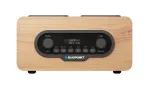 Kaasaskantav raadio BLAUPUNKT DR10CR DAB+/FM, Bluetooth 5.3, LCD, 2W, 1800mAh aku, teleskoopantenn
