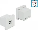 Pistikupesa USB A + USB C DeLOCK 81313