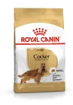 Royal Canin Cocker Adult kuivtoit koertele, 12 kg