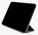 Pomologic &uuml;mbris iPad Air/Pro 11/10.9 jaoks