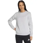 adidas Entrada 26 naiste dressipluus hall suurus L